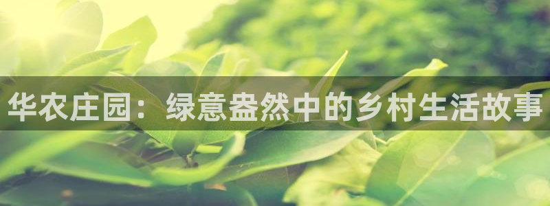 九月游会