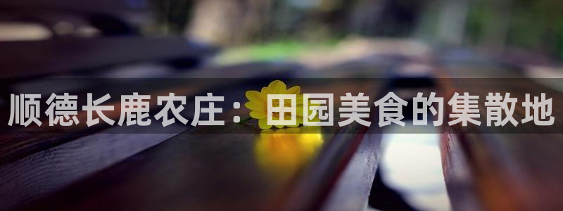 九游会如何