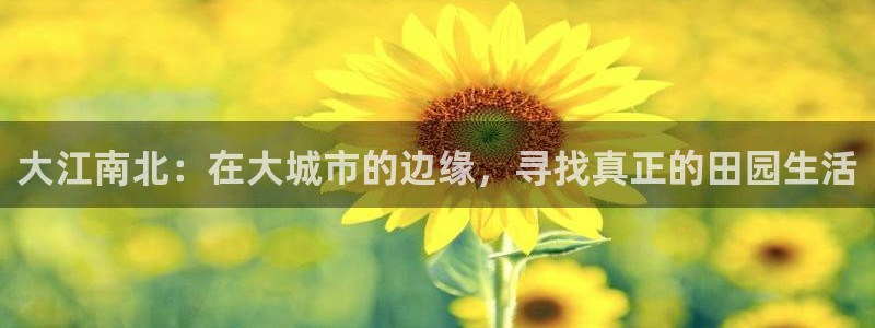 九游会赌场在哪