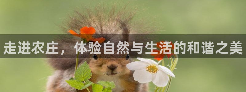 九游会数字站
