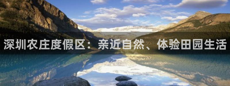 九游会倒闭