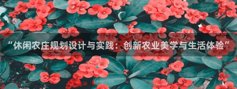 九游会直营
