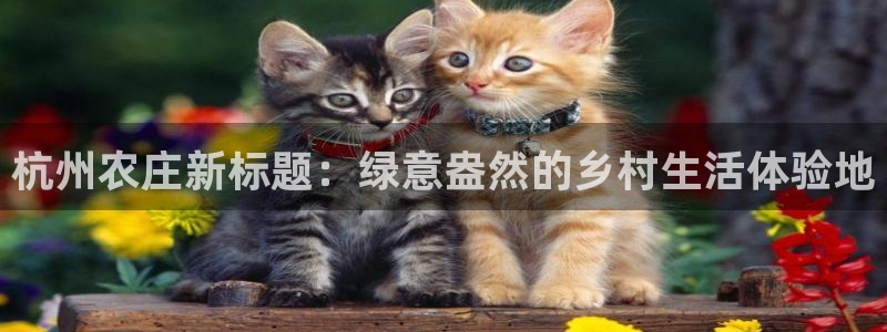 九游账号会自动注销不