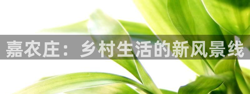 j9数字货币九游会备用