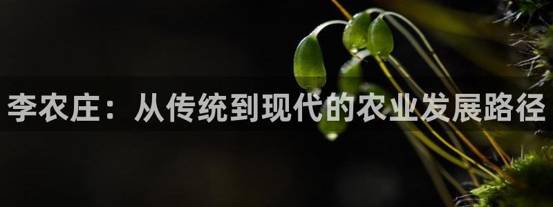 九游会登录亚洲