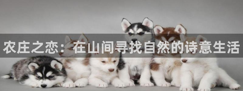 九游会ag暴富