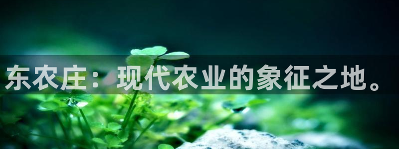 AG九游会九游会