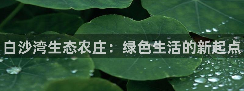 九游会进入