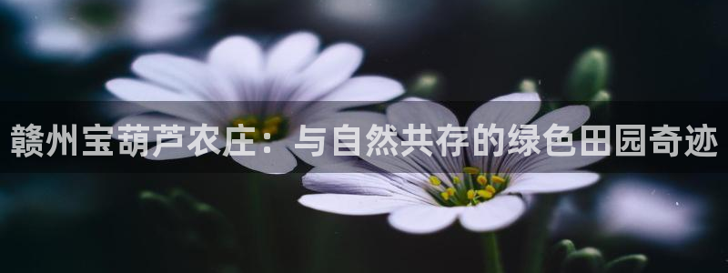 九游会真实网址