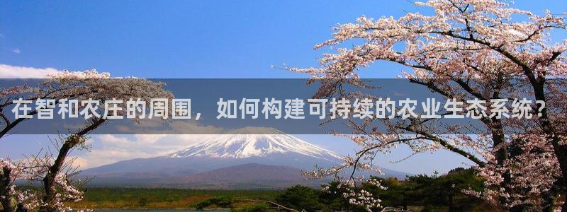 九游会路线入口