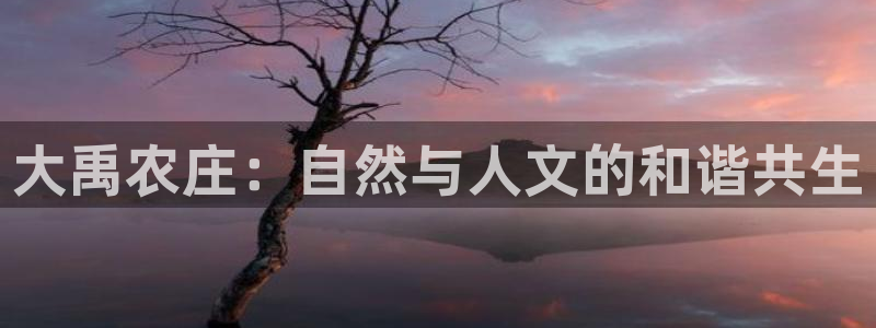 九游会J9官网安全吗