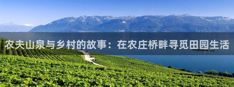 九游会登录页面