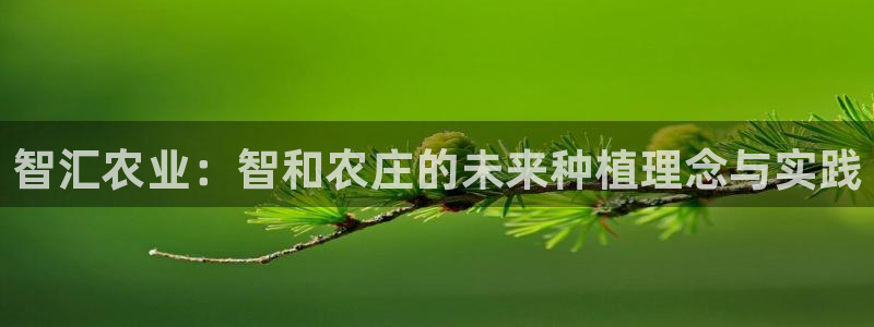 九游会ag亚洲集团官方网站