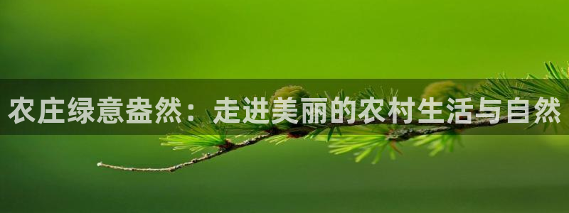 九游会登录页面