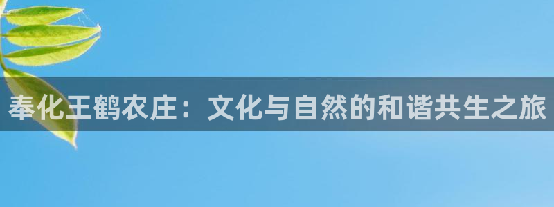 九游会真人官网