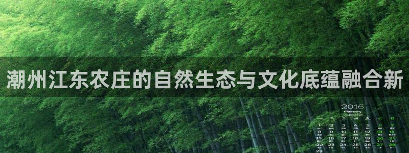 九游会网站中心