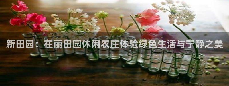 九游会鸭油