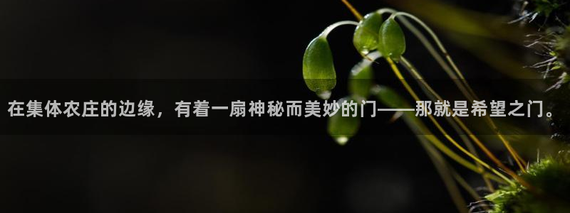 j9九游会九游会官网