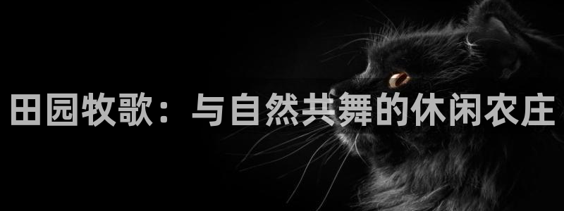 九游会倒闭了吗吗