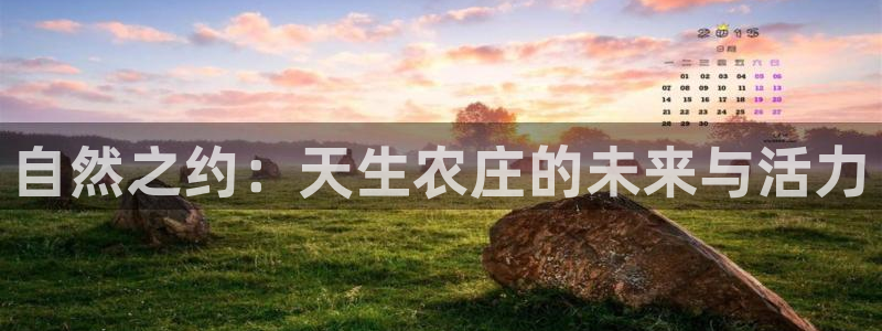 九游会登录入口首页