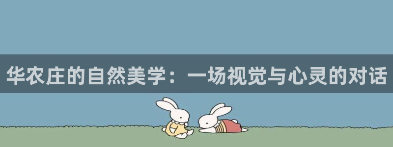 九游会国际平台