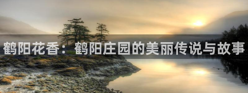 九游会倒闭了吗