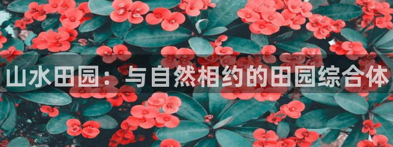 ag九游会网址