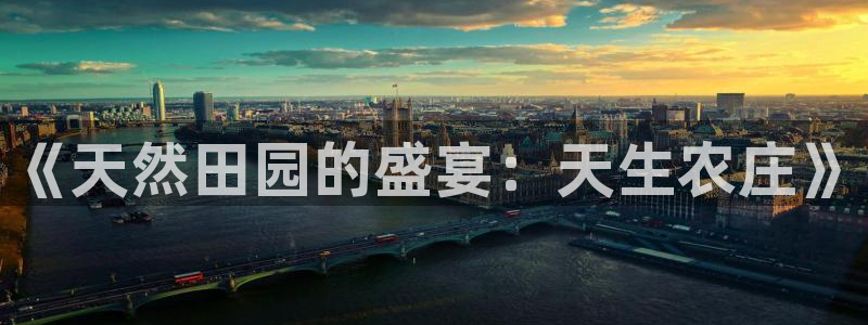 九游会登录官网账号吗