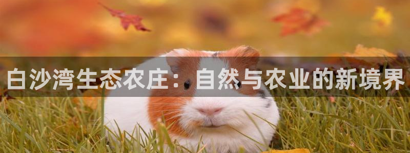 九游会游戏官网下载安装