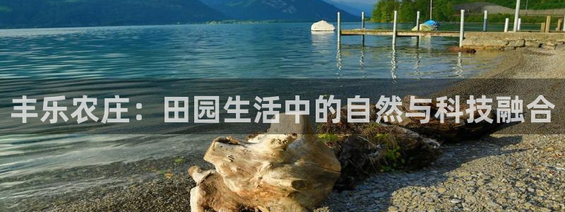 九游会官方正版下载地址