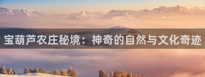 九游会平台是不是废了