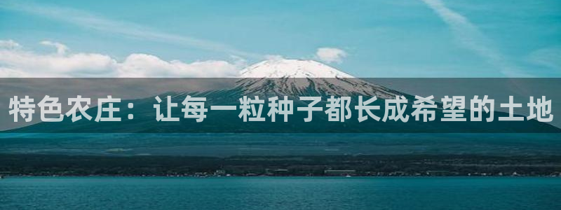 九游会全站官网链接