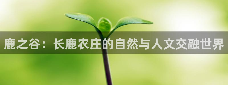 九游会登录入口