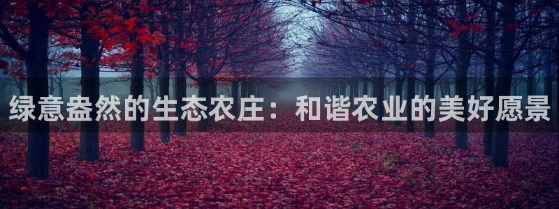 九游与九游会新选择