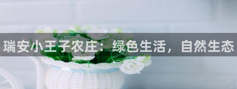 九游会j9是什么意思