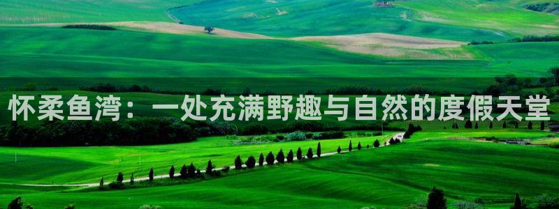 九游会app安全吗