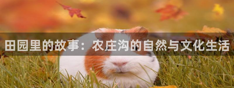 ag亚洲九游会登入