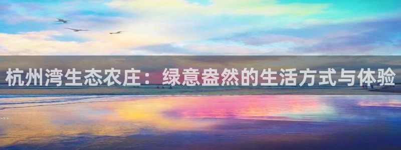 九游会国际集团