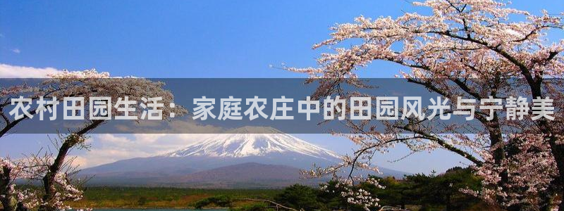 九游会真人第一品牌游戏